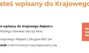 Jak sprawdzić, czy jesteś w Krajowym Rejestrze Dłużników?
