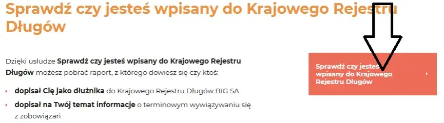 Jak sprawdzić, czy jesteś w Krajowym Rejestrze Dłużników?